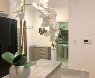 Апартаменты Apartman Mina Будва Апартаменты с 1 спальней-10