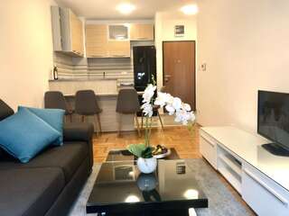 Апартаменты Apartman Mina Будва Апартаменты с 1 спальней-2