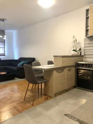 Апартаменты Apartman Mina Будва Апартаменты с 1 спальней-9
