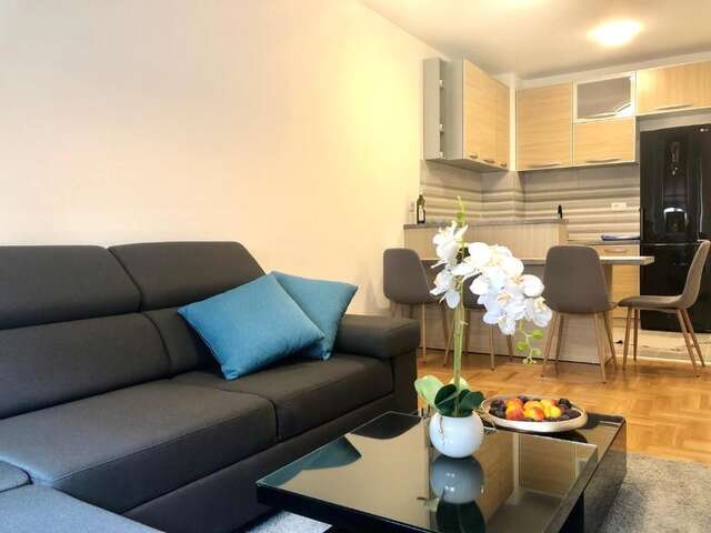 Апартаменты Apartman Mina Будва-47